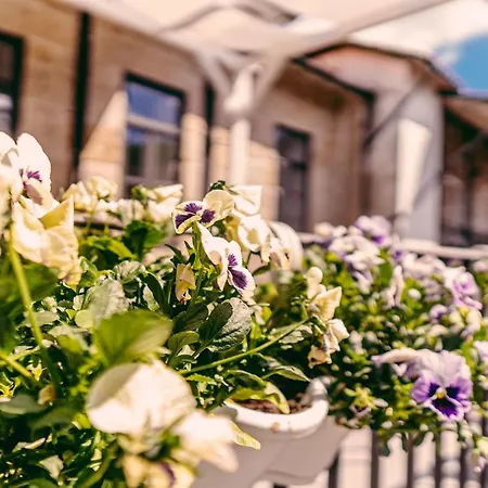 Casa Mouroas Mondim de Basto