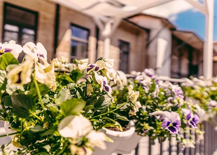 Casa Mouroas Mondim de Basto