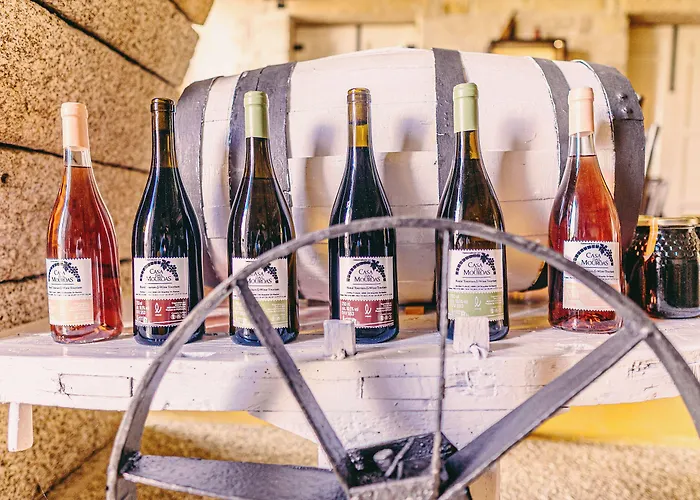 Casa Mouroas 팜스테이 몬딤데바스토